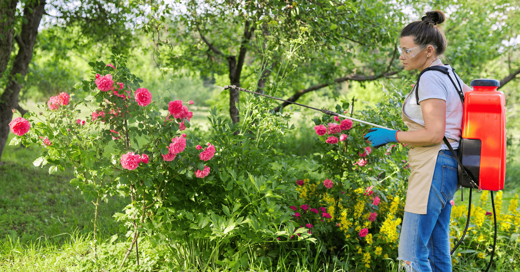 מרסס נטען שעובד בשבילכם - סוללה עוצמתית, תוצאה מדויקת | מרססים לגינה