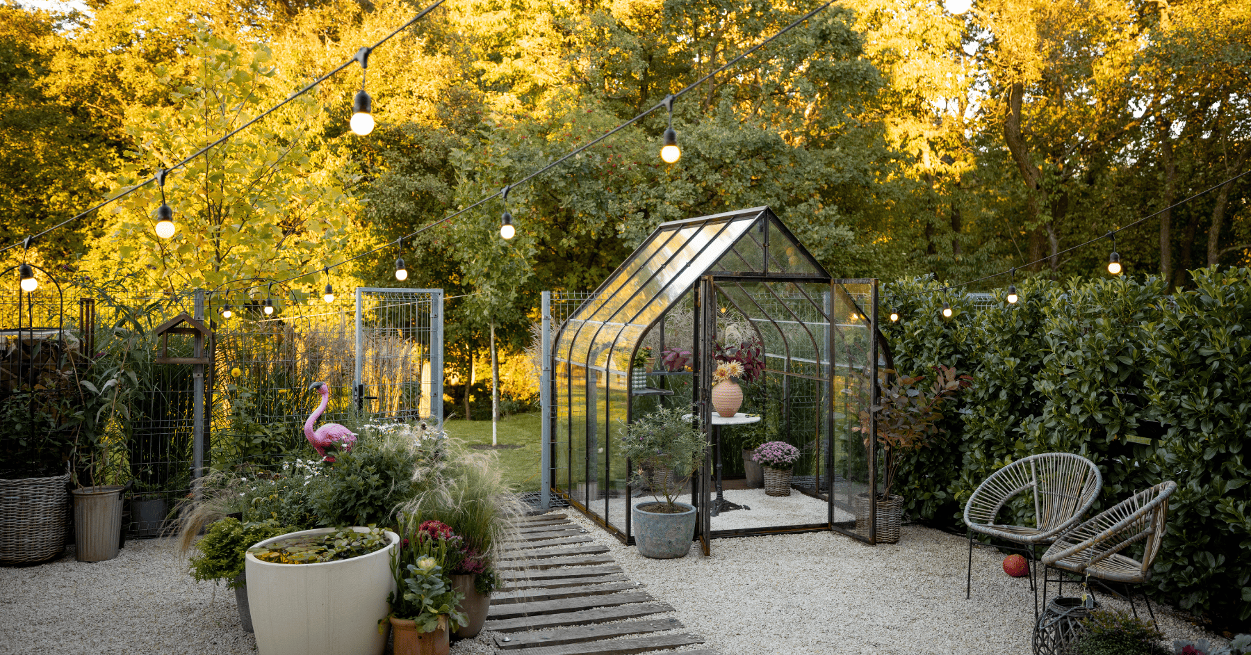 חממה ביתית קטנה | לגידול ירקות וצמחי תבלין - המדריך המלא לחובבי הטריות