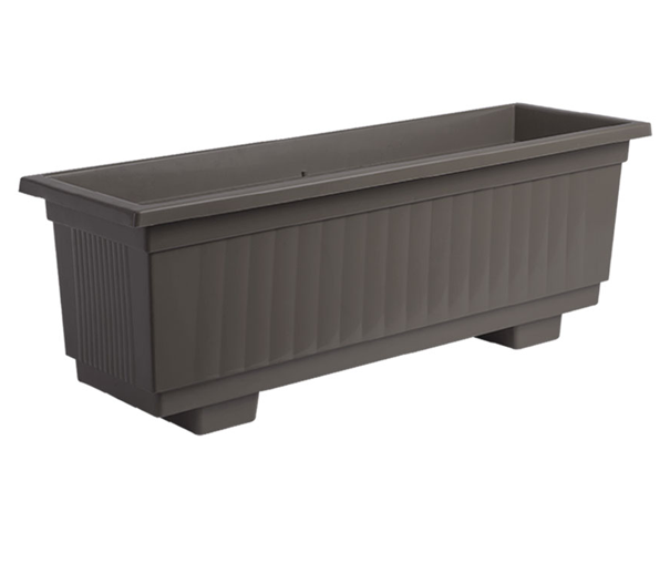 אדנית תבור חאקי 
