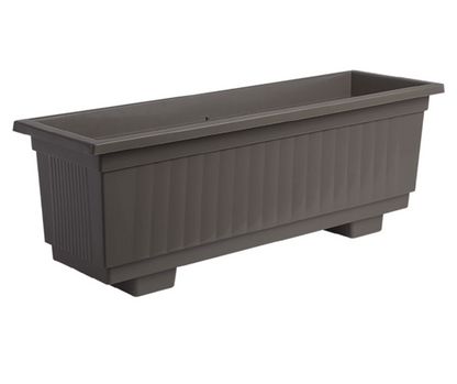 אדנית תבור חאקי 
