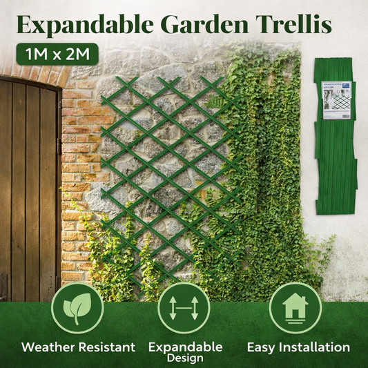 גדר לצמחים מטפסים מפלסטיק 2X1 מטר - גדר אקורדיון