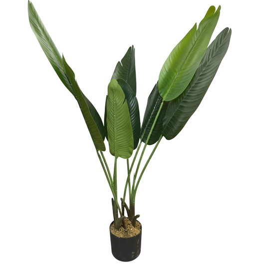 עץ בננה 115 ס"מ