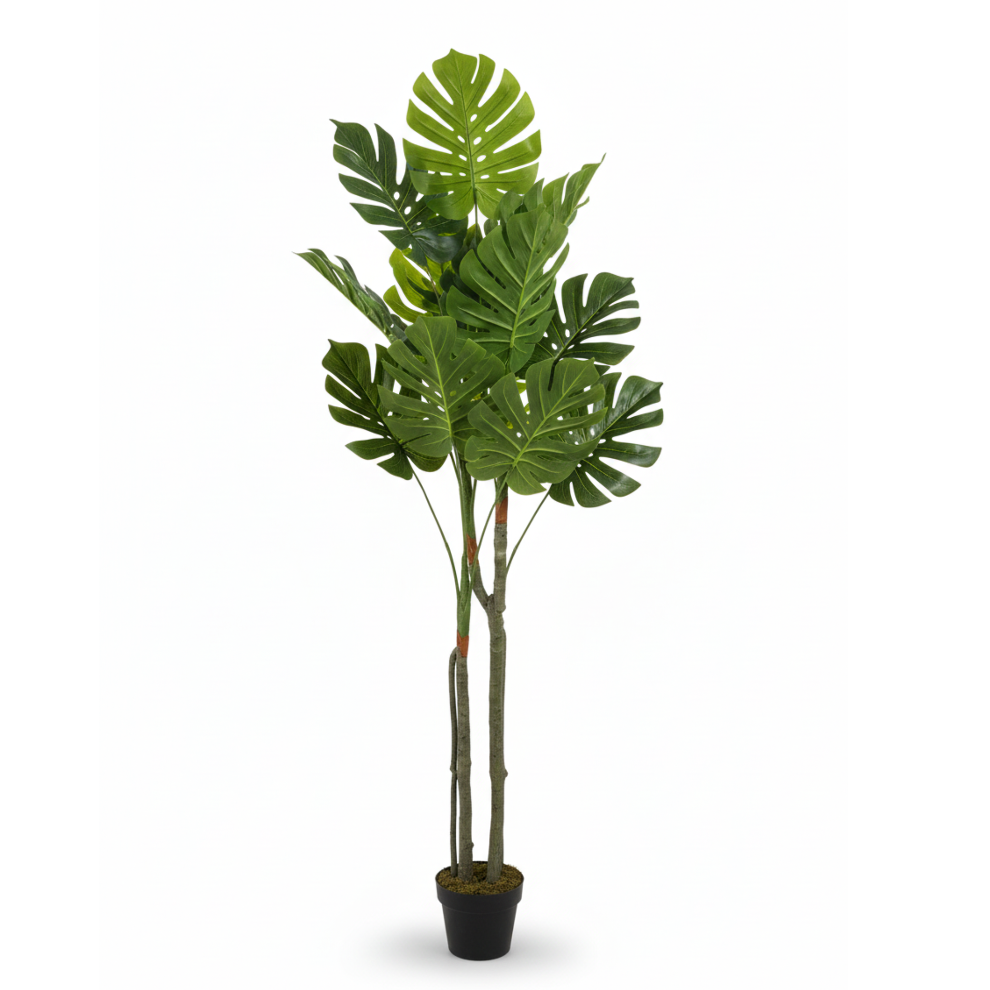 עציץ מלאכותי מונסטרה
