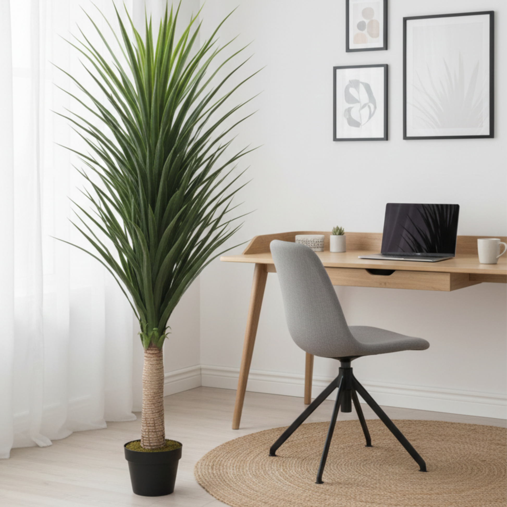 נולינה רקורוואטה מלאכותי 150 סמ