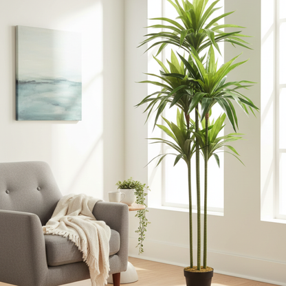 דרקאנה מלאכותית