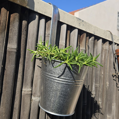 מחזיק עציץ לתלייה על מעקה או גדר – פח מגולוון עמיד בכל מזג אוויר