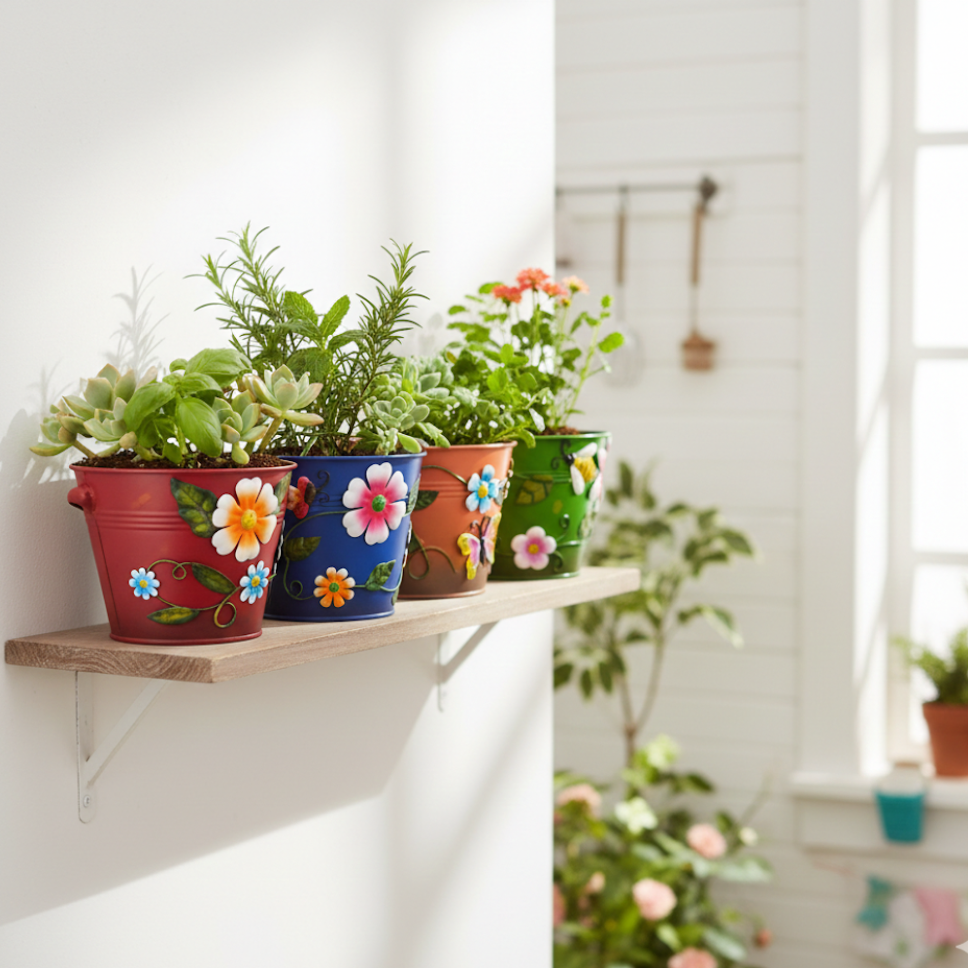 שדרגו את אווירת המרחב שלכם עם סט עציצי מתכת איכותיים הכולל 6 גוונים עזים ומשמחים. כל