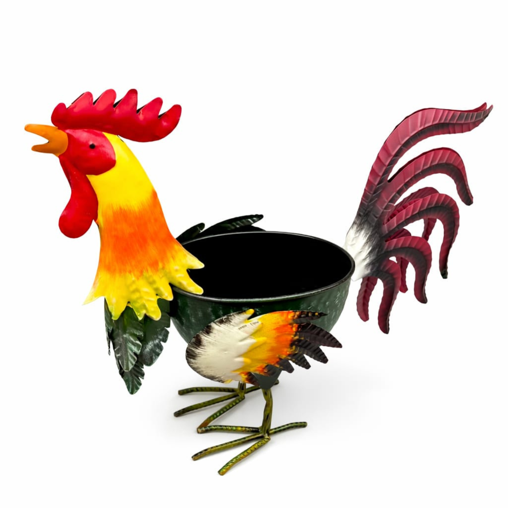 עציץ תרנגול דקורטיבי (14X18 ס"מ) נוכחות מרשימה, צבעוניות מתפרצת ועיצוב כפרי