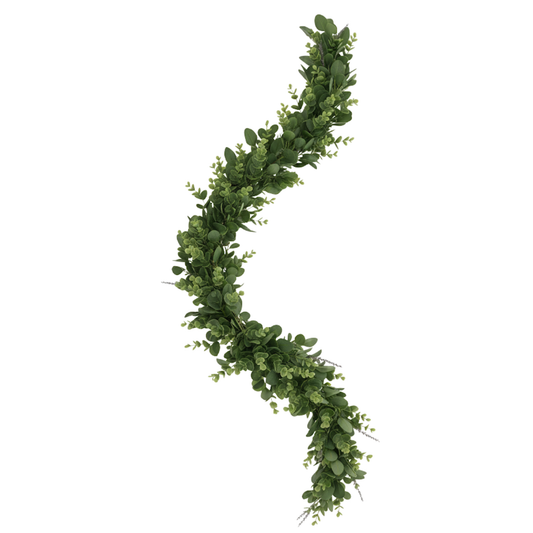 גרילנדת אקליפטוס