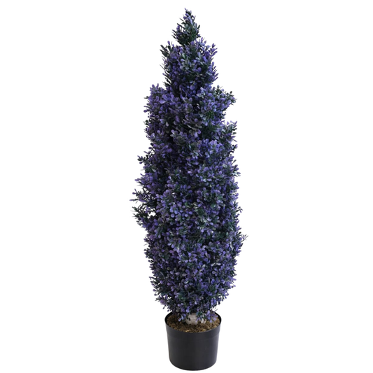 ברוש בוקסוס מלאכותי