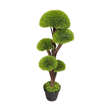 עץ משי 100