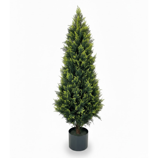 ברוש קוני איכותי יוקרתי