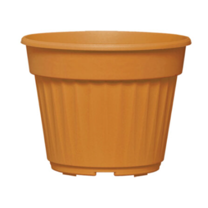 עציץ נרקיס 24 ס"מ בצבע שחור - עיצוב אלגנטי עם נוכחות מרשימה!