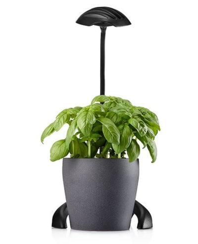 מנורה שולחנית לגידול צמחים, תאורה לצימוח ופריחה, לד 25 וואט עם 3 עוצמות חוזק במתג, בסיס מתכת יציב, שחור