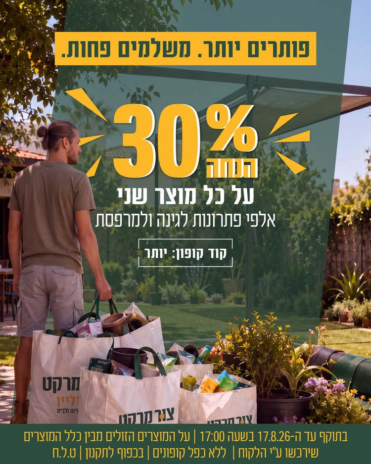 מבצע צור מרקט