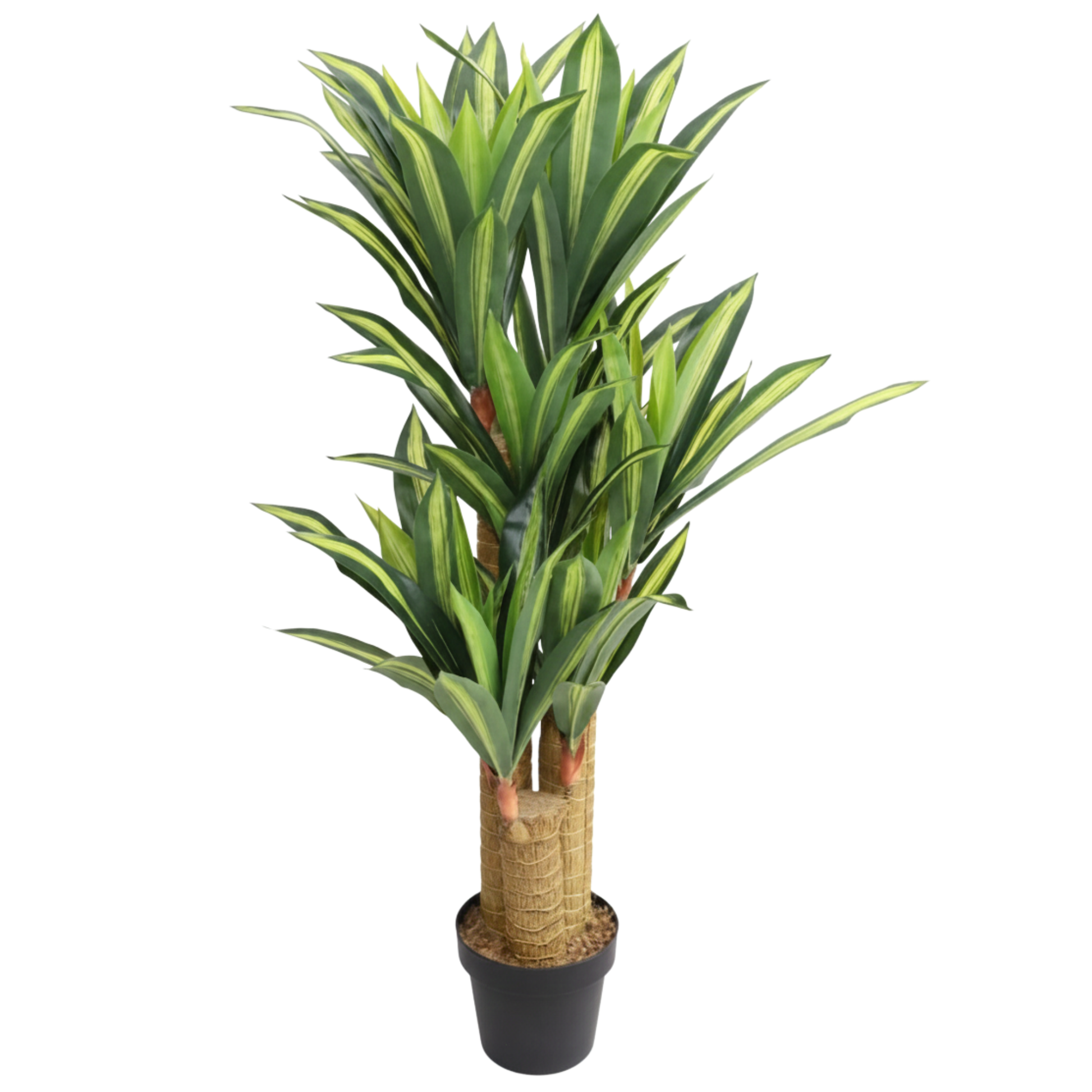 דראקנה מלאכותי 120 סמ