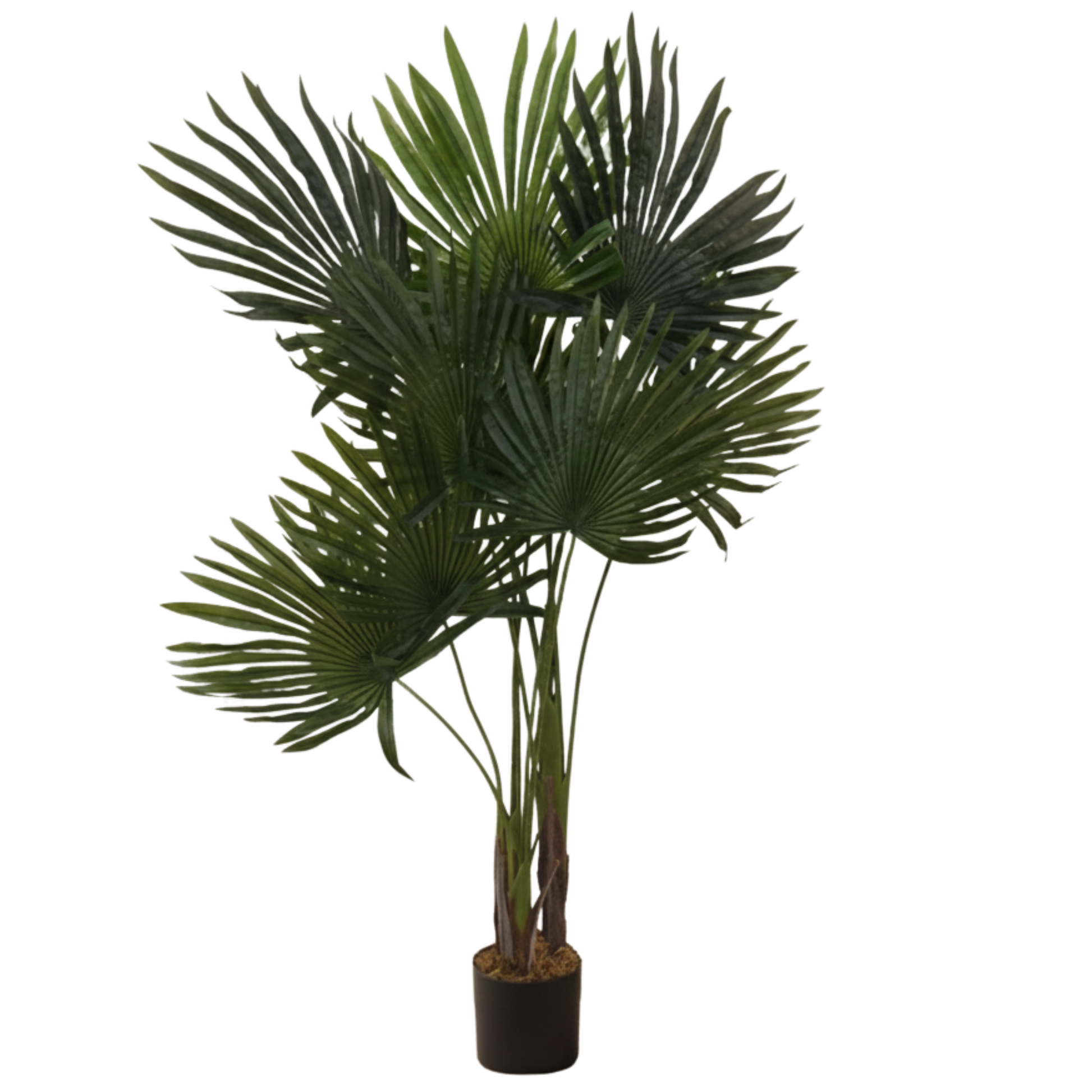 עץ דקל מלאכותי