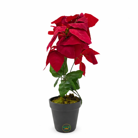 צמח מלאכותי רקפת