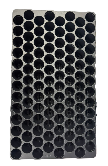 מגש לייחור והנבטה 104 תאים בקוטר 3.5 ס"מ - 32x54x7