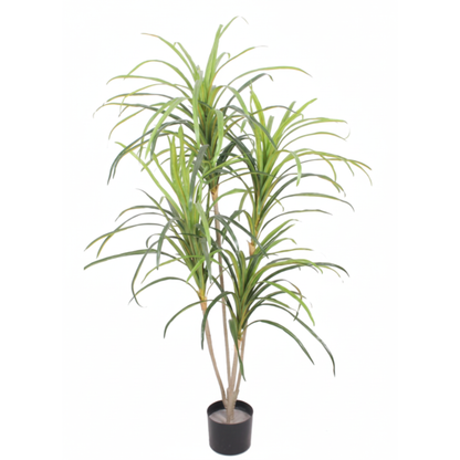 דרצנה מלאכותי 125 סמ