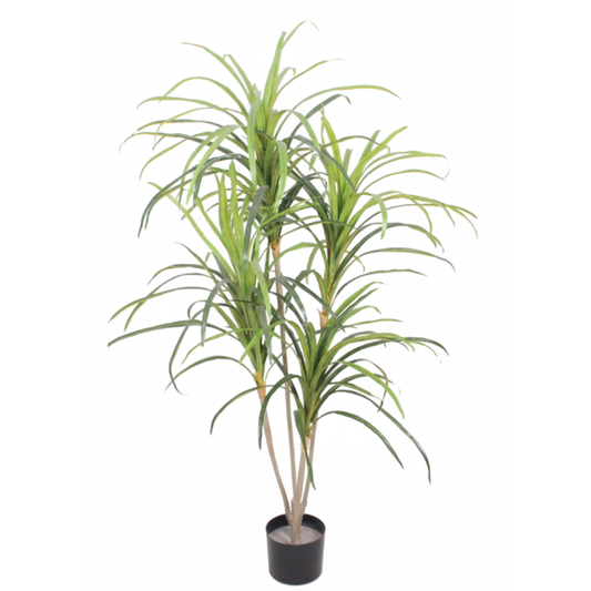 דרצנה מלאכותי 125 סמ