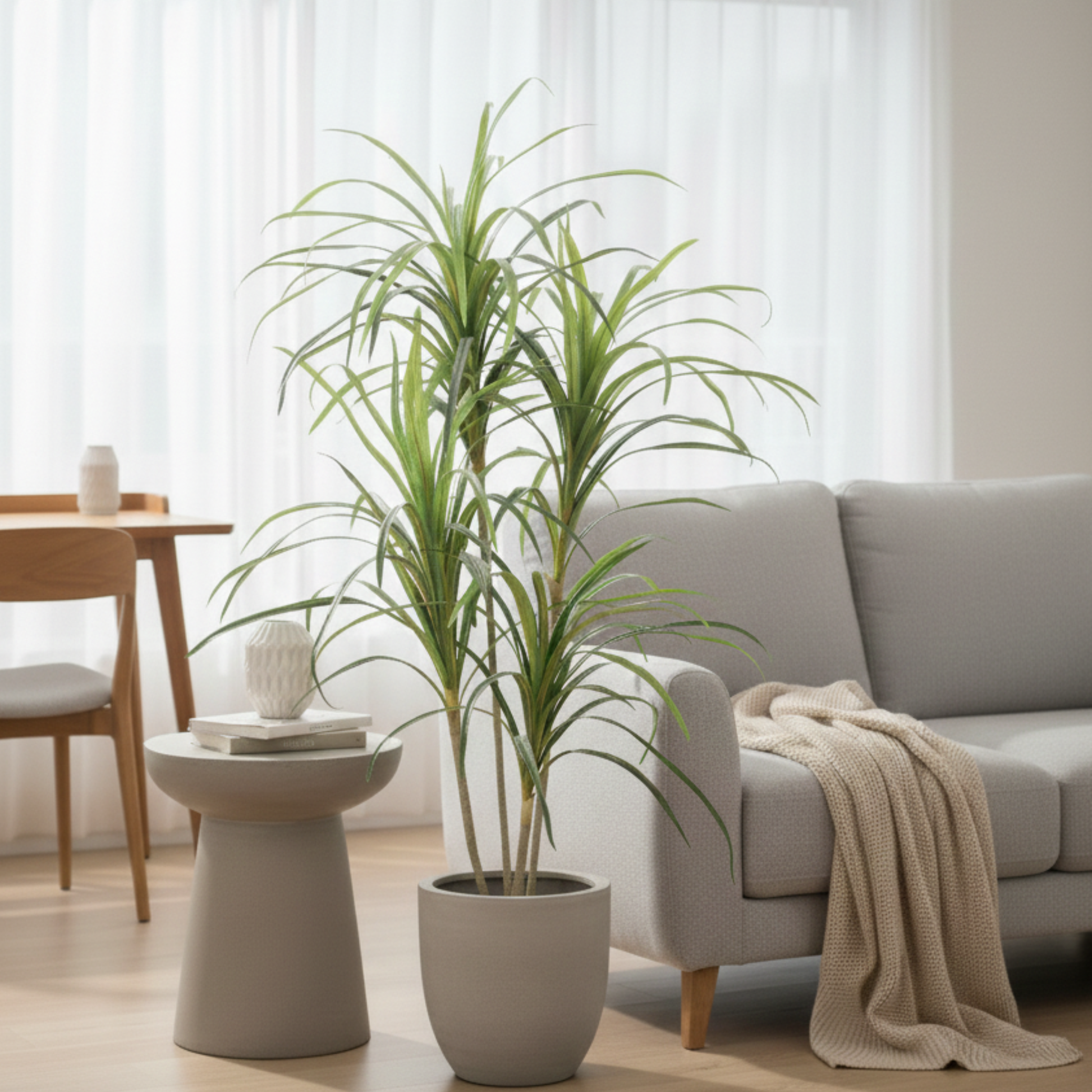 דרצנה איכותית לכל חלל