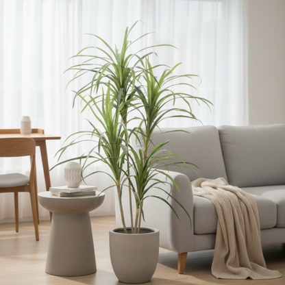 דרצנה איכותית לכל חלל