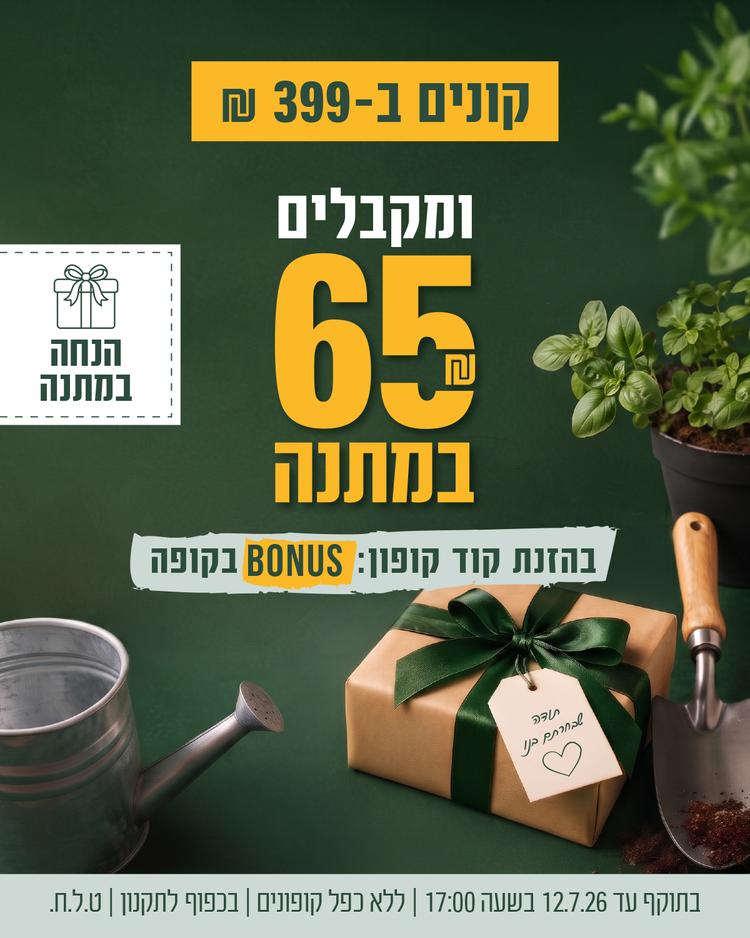 מבצע צור מרקט