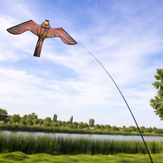 הרחקת יונים וציפורים 
