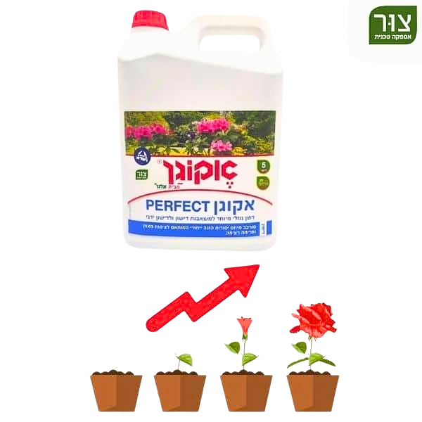 אקוגן פרפקט Perfect, דשן נוזלי מועשר ומרוכז למשאבות ולדישון ידני, מכיל חומר מרוכז המעודד צמיחה מאוזנת, 5 ליטר