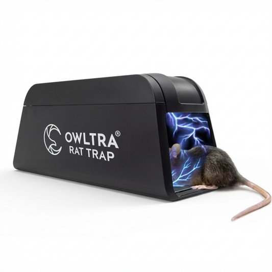 מלכודת הפלא Evolta החשמלית לחולדות – 100% לכידה בטוחה וסטרילית ללא מגע