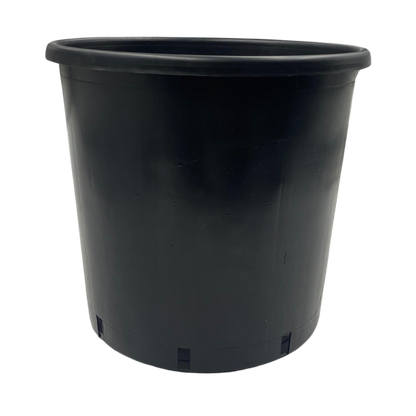 עציץ פלסטיק קשיח