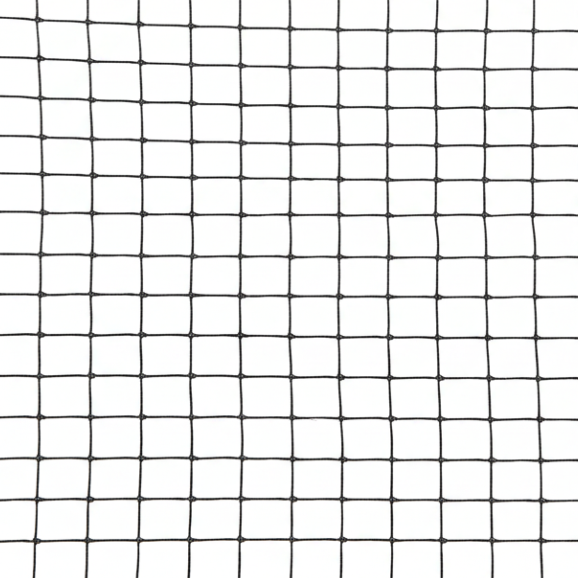 רשת חבלים להרחקת ציפורים 5×5 מטר – עין 1.9 ס"מ | נגד מיינה וציפורים קטנות