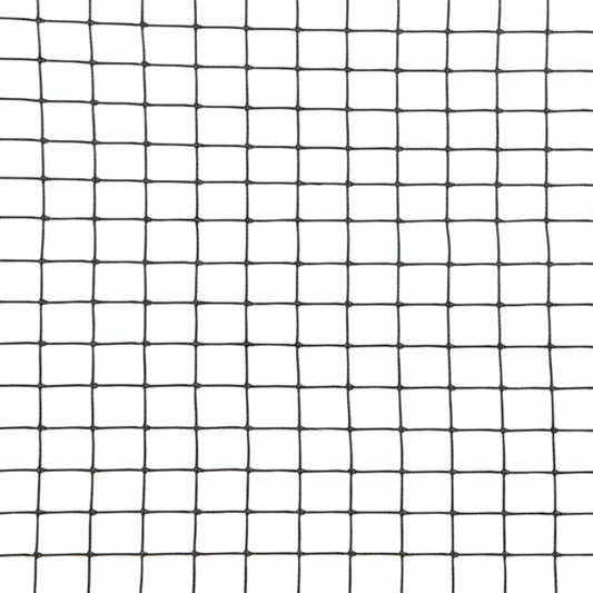 רשת יונים שחורה 5X5