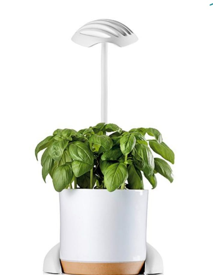 מנורה שולחנית לגידול צמחים, תאורה לצימוח ופריחה, לד 25 וואט עם 3 עוצמות חוזק במתג, בסיס מתכת יציב, לבן