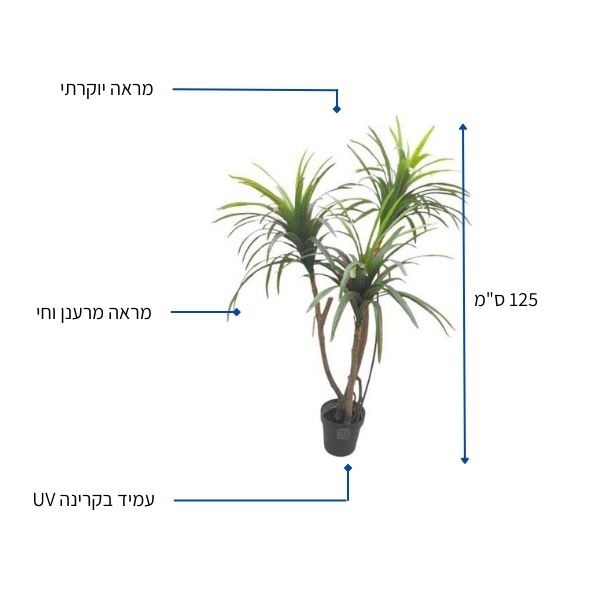 צמח מלאכותי יוקה