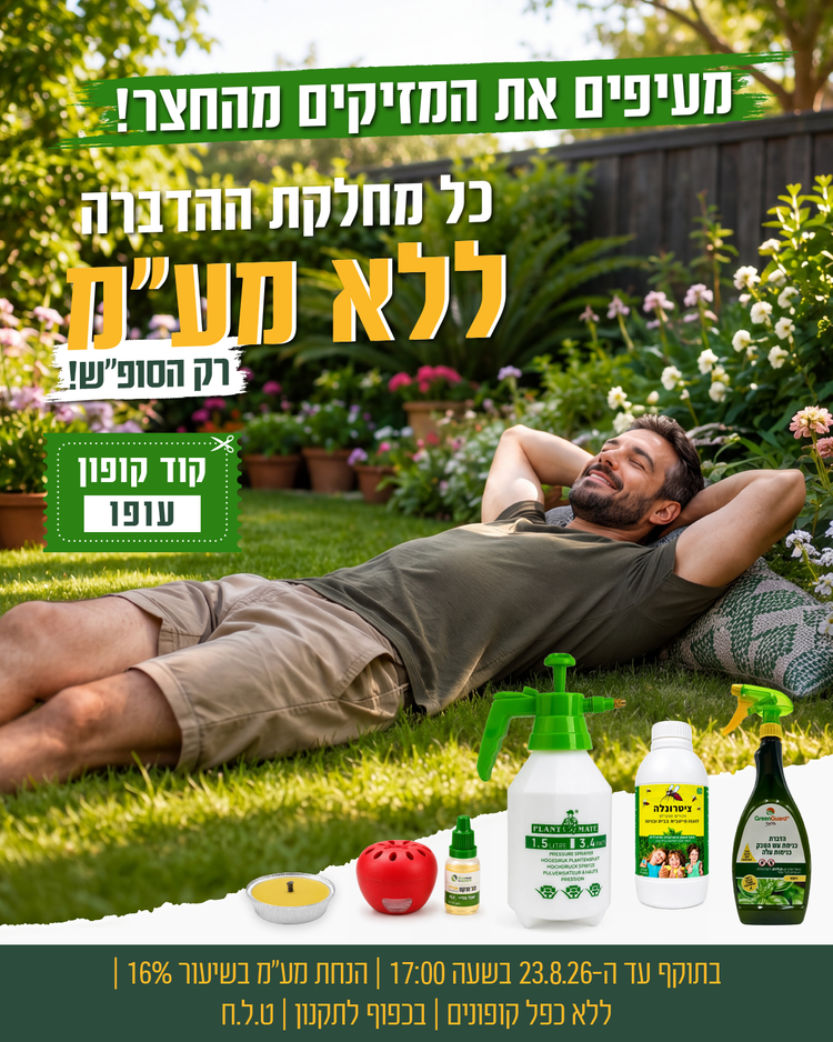 מבצע צור מרקט