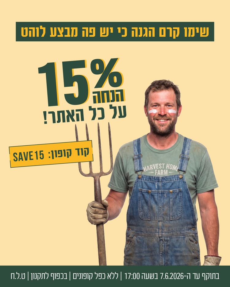 מבצע צור מרקט