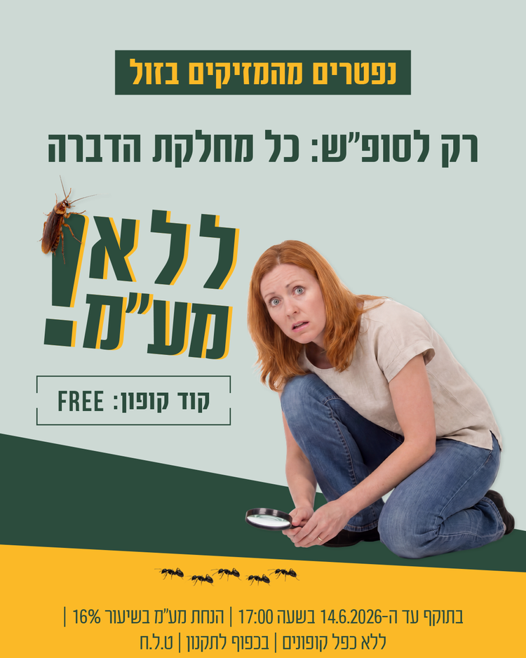 מבצע צור מרקט