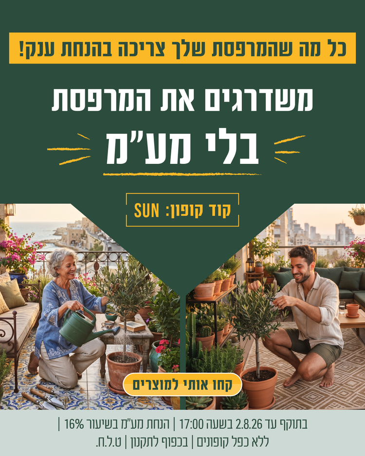 מבצע צור מרקט