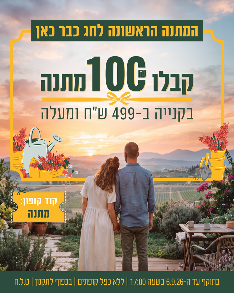 מבצע צור מרקט