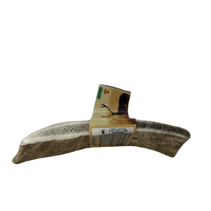 קרן אייל טבעית לכלבים
