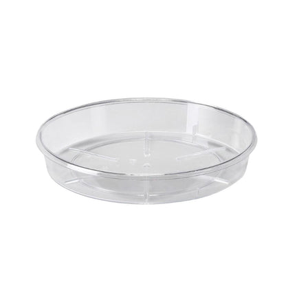 צלחת פולי שקופה עגולה d20