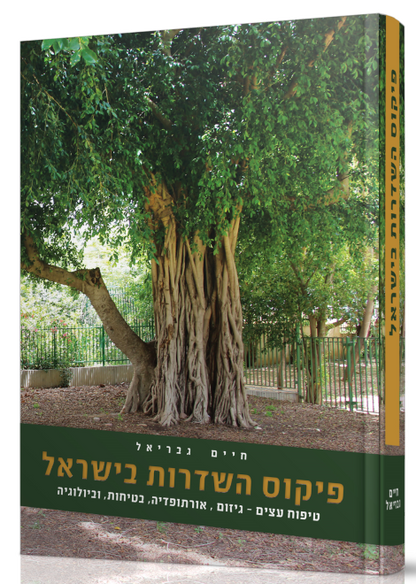 פיקוס השדרות בישראל – חיים גבריאל