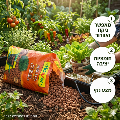 מצע גידול הידרופוני