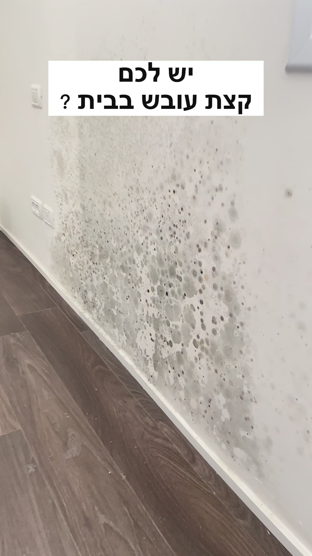 ניקיון עובש בבית