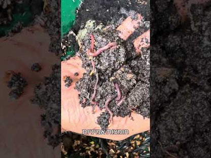 הומוס מישלן תולעים טהור יבש 5 ליטר - דשן אורגני 100% טבעי לגינה מושלמת!