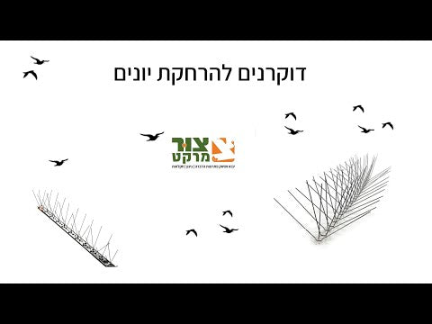 איך מתקינים דוקרנים ליונים