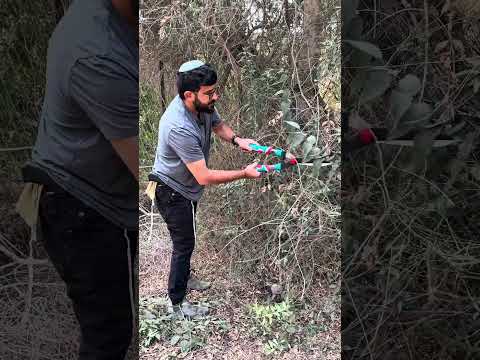 סט כלי גינון TOTAL 