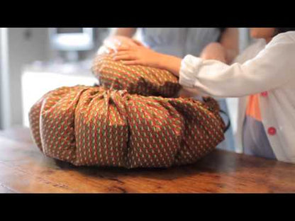 Wonderbag Rose Fern – סיר בישול איטי ללא חשמל לשמירת חום עד 8 שעות | מידה M (2–6 ליטר)